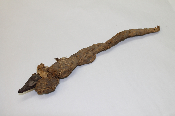 Ha7895 mummified crocodile (image/jpeg)