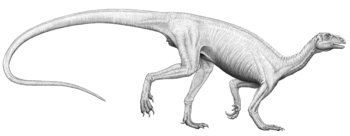M Shed, Place Graphic, Discovering, artist's impression of the Bristol Dinosaur, Thecodontosaurus