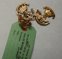 Militaria+%28image%2Fjpeg%29
