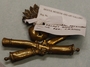 Militaria+%28image%2Fjpeg%29