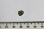 Numismatics%2C+Roman%2C+O.5063%2C+Reverse+%28image%2Fjpeg%29