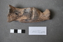 Geology+Cd6172em+back+%28image%2Fjpeg%29