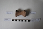 Cd6172ee+dorsal+%28image%2Fjpeg%29