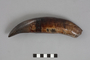 Cd6172mk+high+res+%28image%2Ftiff%29