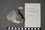 Geology+Cc5739i+front+%28image%2Fjpeg%29