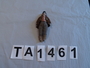 TA1461+%28image%2Fjpeg%29