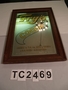 image+TC2469+%28image%2Fjpeg%29