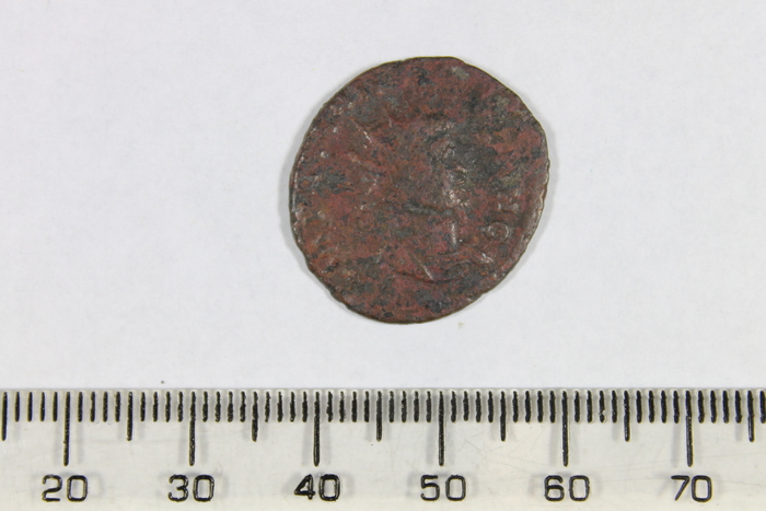 Numismatics, Roman, O.4873, Obverse (image/jpeg)