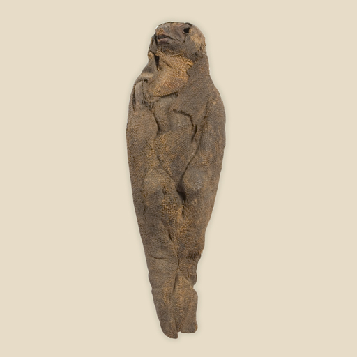Foreign Archaeology, Egypt Gallery, hawk mummy (image/jpeg)
