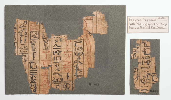 Foreign Archaeology, papyrus, H1851 (image/tiff)